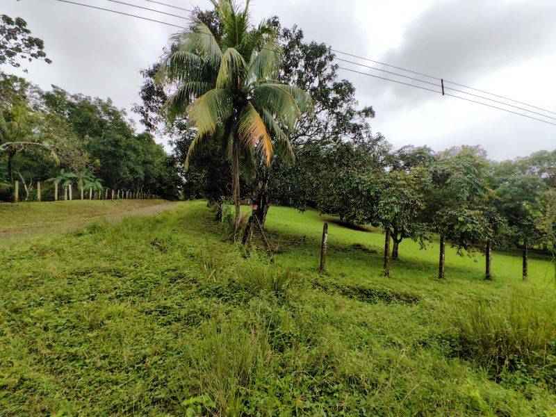 Lote esquinero - fraccionamiento Rio Machuca - El Mastate (1)e