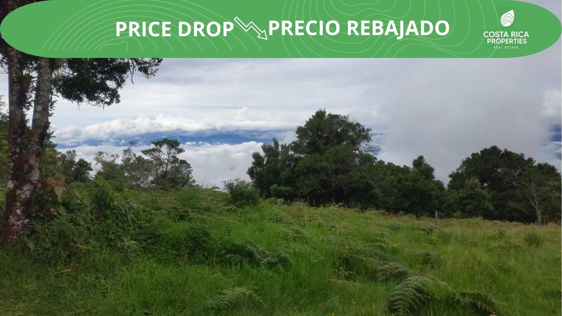 RealEstate_LandNexttoVolcanPoas_1_PriceDrop