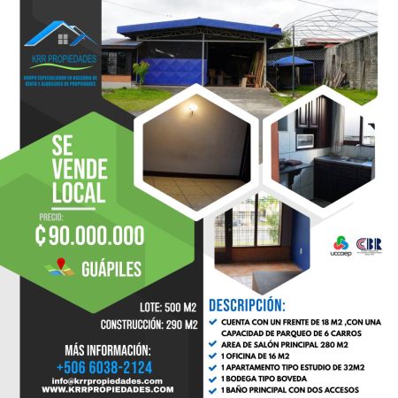 Copia de Real Estate Flyer(1)